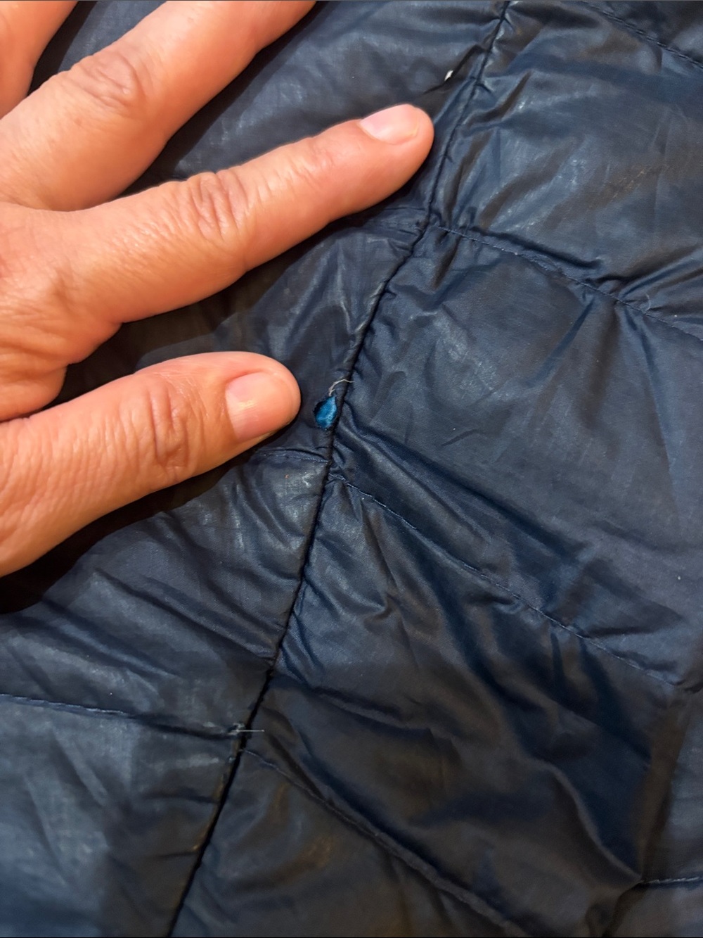 Patagonia Men's Black Quilted Insulated Jacket with Blue Trimsize xxl - Picture 4 of 10